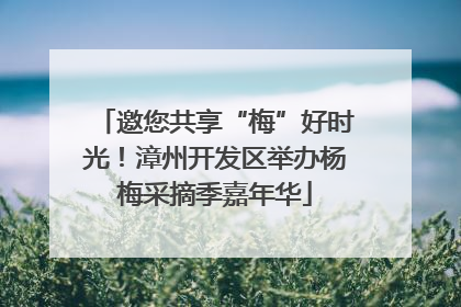 邀您共享“梅”好时光!漳州开发区举办杨梅采摘季嘉年华